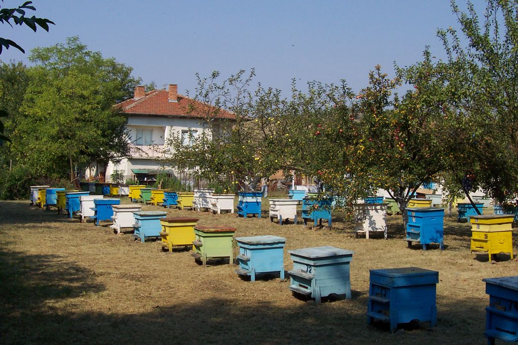 Пчелин в Царски извор